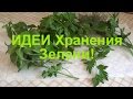 Идеи длительного ХРАНЕНИЯ зелени!✔Елена Матвеева