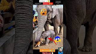 MashAllash ☝🏻😇  Heart warming Moments 😍😱 #shorts #reaction #respect #jolotvinfo