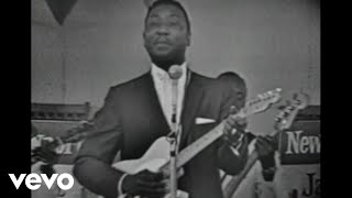 Video thumbnail of "Muddy Waters - I'll Put A Tiger In Your Tank (Live)"