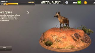 Hunting Clash- New species Brown Hyena in Botswana @ngghost3681 . screenshot 1