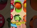 Peekaboo animals color Toy for kids