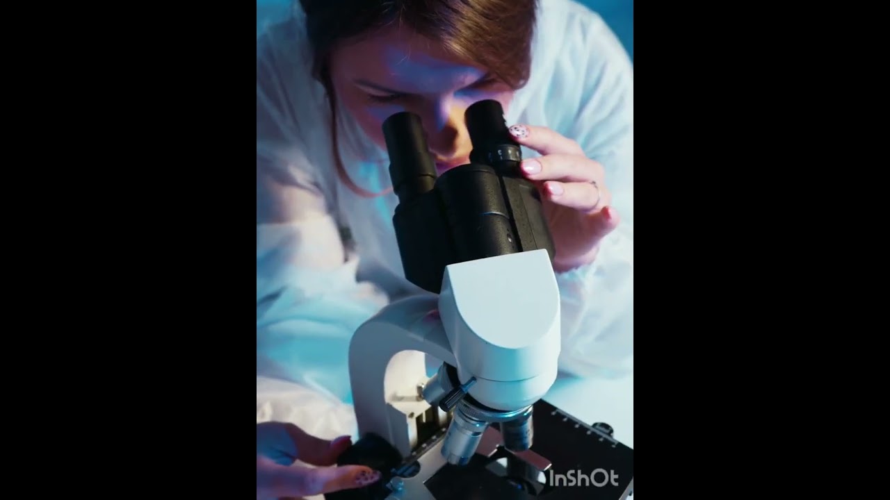 things that look amazing under microscope 🔬