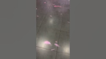 defi lab interactive floor system all in one version