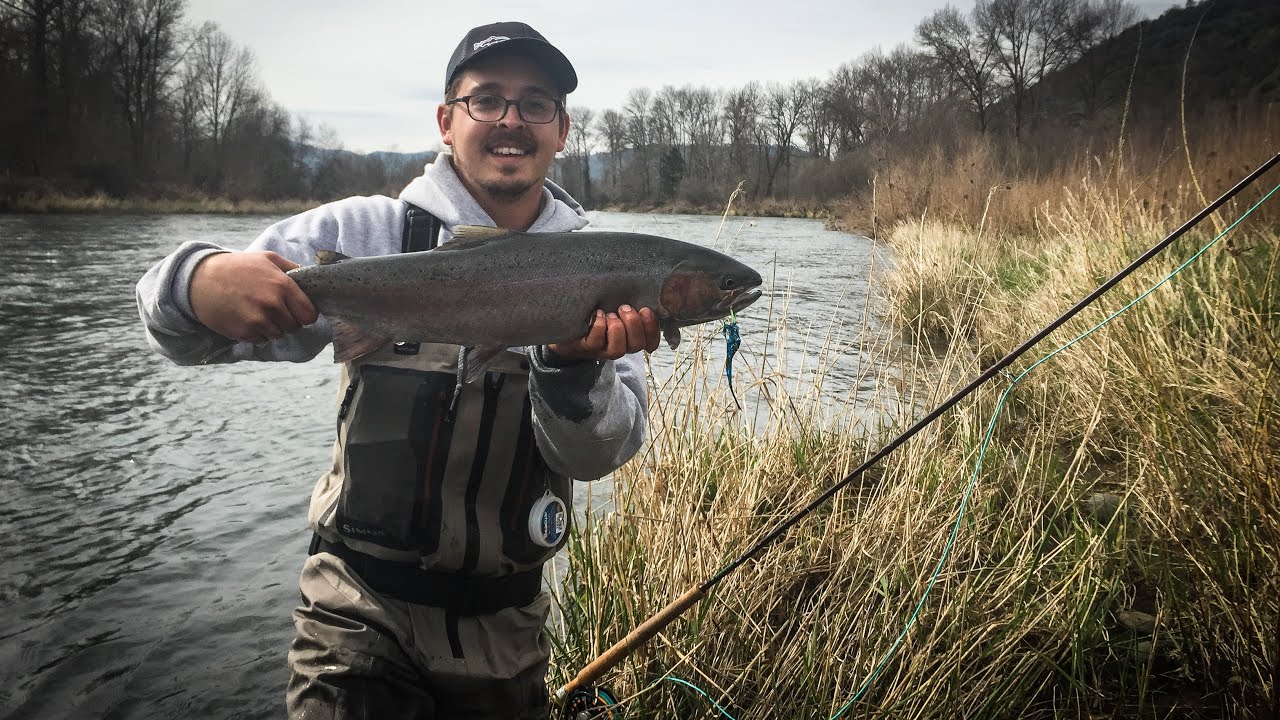 Ashland Fly Shop Fishing Report March 17th, 2016 YouTube