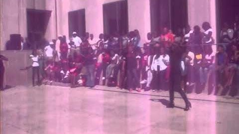 Gamma Nu chapter of Delta Sigma Theta Yard Show 2010 Pt 1