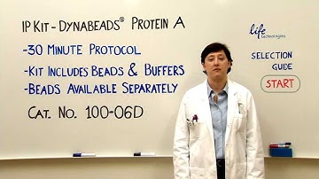 Dynabeads® Protein A Kit for Immunoprecipitation - Product Presentation