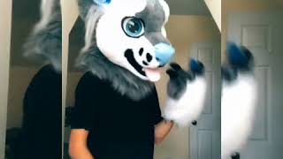 Tik Tok Furries Part 20