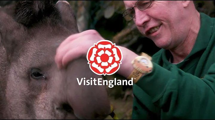 Stephen Eddy, Devon - Tourism Superstar 2018 final...