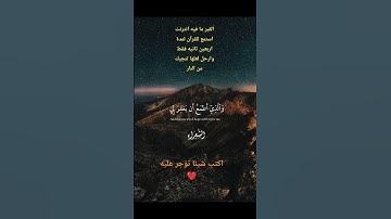 تلاوه خاشعه للشيخ مشاري راشد العفاسي #قرآن_كريم #اكسبلور #المصحف #quran #مشاري_العفاسي #راحة_نفسية