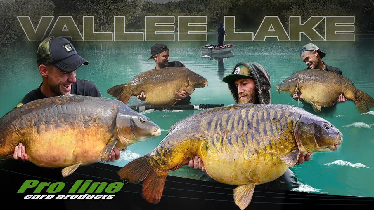 Monster Carp Session - Vallee Lake Recap Team Pro Line 2021 