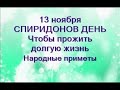 13 ноября-СПИРИДОНОВ ДЕНЬ.Что делать,чтобы прожить долгую жизнь.Народные приметы.