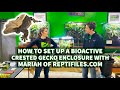 How to set up a crested gecko bioactive terrarium with mariah of reptifilescom