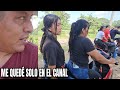 NOE Despidió A Todos Sus Integrantes😱 Se Quedó Solo En El Canal Vean Porqué😭