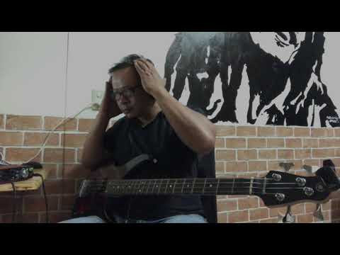 Whose Bed Have Your Boots Been Under (Shania Twain) - Bass Cover