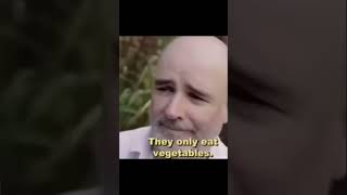 Memes I Found In My Basement PART 31 Profile