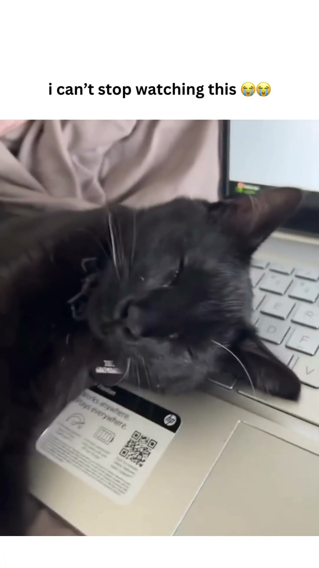 Kittyo was typing Zs while taking Zs bro in a different mode