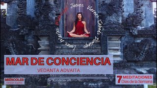 MAR DE CONCIENCIA, versión exprés - Vedanta Advaita
