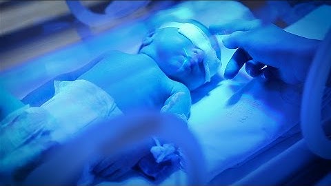 Microsoft Data Amp - Stories: Cochrane