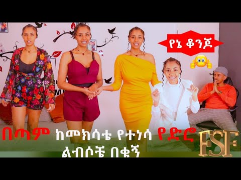 ቪዲዮ: ድመትን ለመመገብ በቀን ስንት ጊዜ ነው ከተማ እና ሀገር