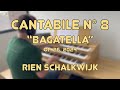 New composition cantabile no  8 bagatella  rien schalkwijk