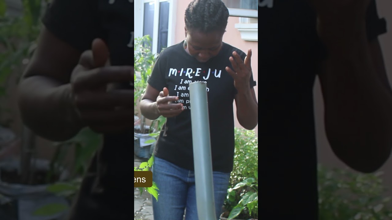 My Victory Dance of 2024 - Good Harvest 