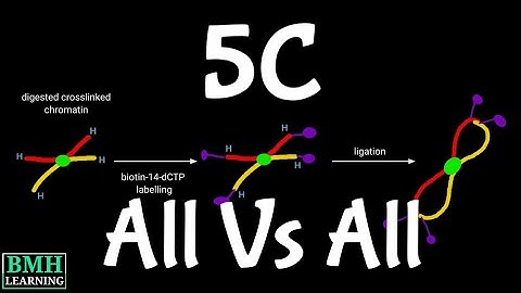 5-C | Chromosome Conformation Capture Carbon Copy | 3C Vs 4C |