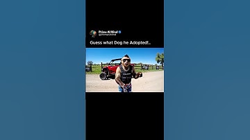 What Kind of Dog you think he Adopted?! Wait for it..🤣 #veo3 #ai #Google #Gemini #flow #comedy