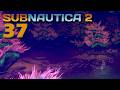 SUBNAUTICA 2 (EARLY ACCESS) 🪼 Ich glaub hier buggts! | #37 | LET'S PLAY