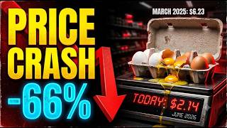 We Tracked 37 Stores to Find the TRUTH About Egg Prices