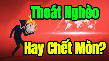 TƯ DUY NGƯỢC LÀM GIÀU KHI MỌI NGƯỜI BỎ CUỘC  Dòng Chảy Tri Thức