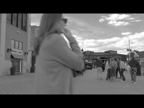 Video Waterfront Boardwalk — Facing North | A Stationary Observation (May 2026)