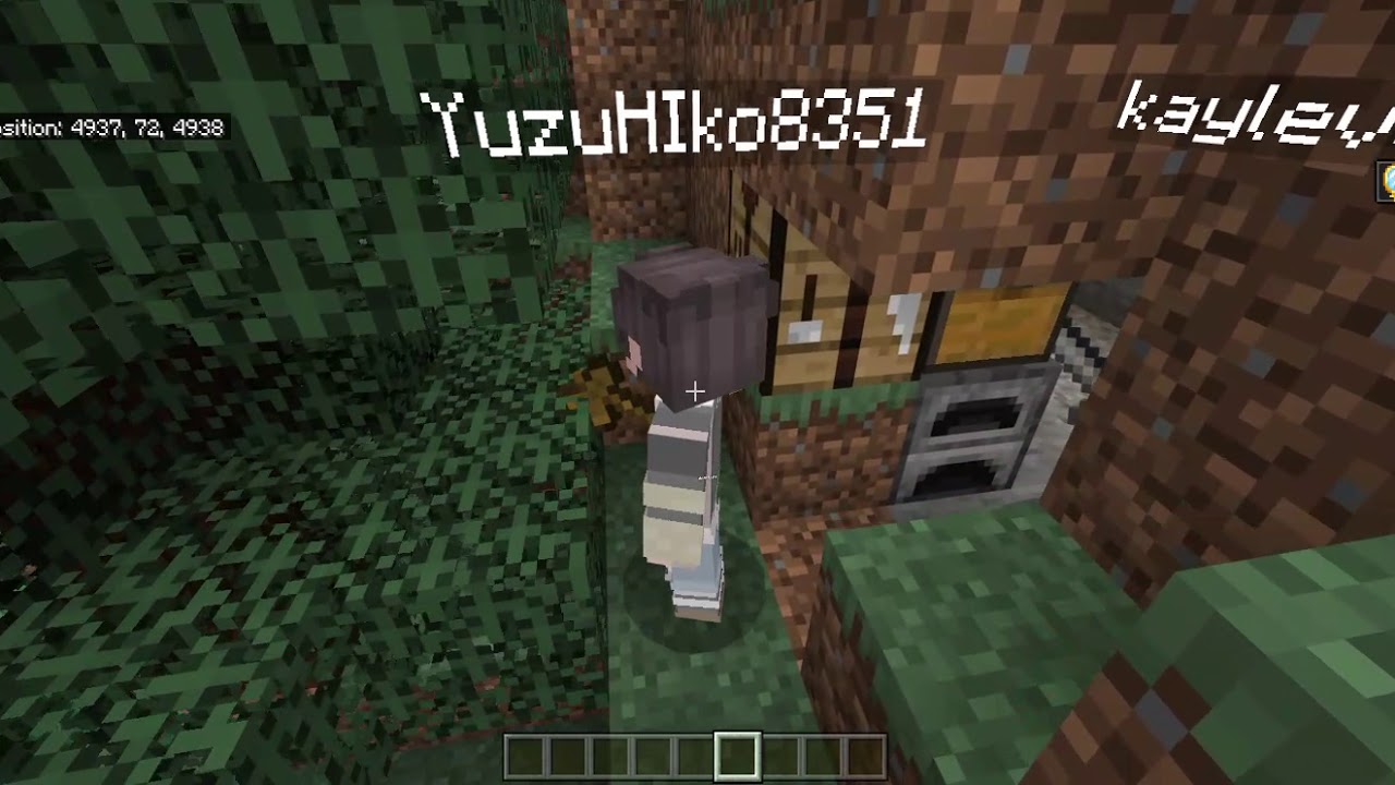 SurviNET - Work Logs 5/30/20