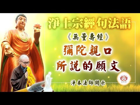 弥陀亲口所说的愿文《无量寿经》 | 净本法师 主讲