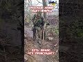 Армия России наступает по всем фронтам В.Путин #армиярф #сво #война2026 #сводкисво #историявойны