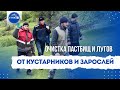 Работа по очистке пастбищ и лугов от кустарников и дикорастущих зарослей для выпаса скота.