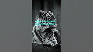 Fail Forward: The Power of Embracing Failure | Motivational Video #motivation