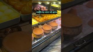 nabadwip lal doi, street food india, food videos, curd, sweet shop in west bengal, #shorts #food