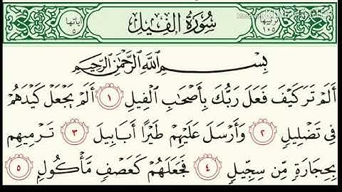 تكرار سورة الفيل ٧ مرات بصوت القارئ هزاع البلوشي صوت رائع تبارك الله