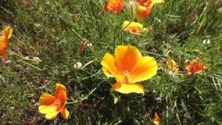 BALADE A VILLENEUVE DE LA RAHO MAI 2019