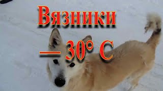 #Вязники#мороз Вязники — 30° С