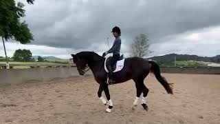 Canter exercise for simple changes