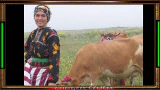 D Samar Tüm Parcalar Elektro Baglama O Yar Benim Gülüm Deilmi Resimi