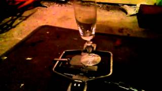 Bear trap vs wine glass slow motion #2