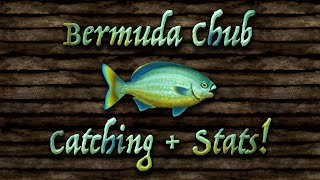 TLOPO: Catching Bermuda Chub + Stats! (Fish)