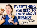 What Is BRANDY And How Do You Use It 3 Great BRANDY COCKTAILS What Is BRANDY And How Do You Use It 3 Great BRANDY COCKTAILS