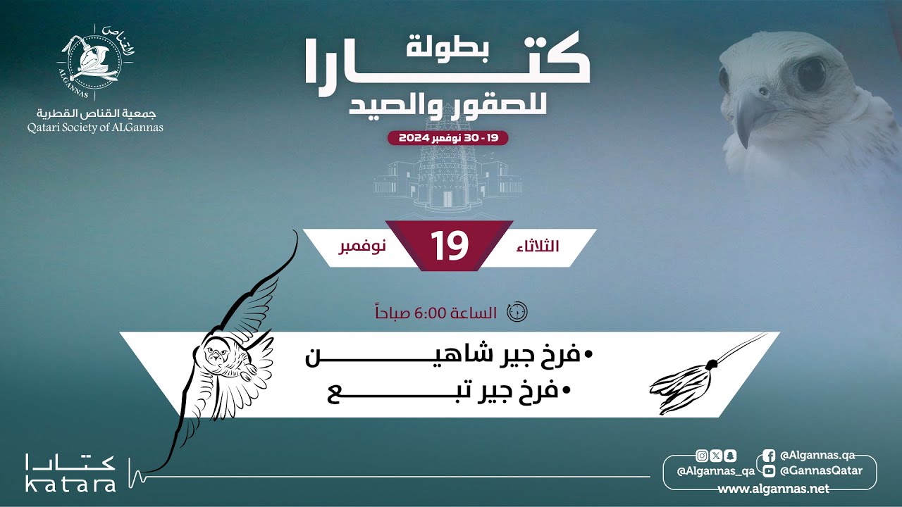 مسابقة الدعو فئة فرخ جير شاهين وفرخ جير تبع  -  بطولة كتارا للصقور والصيد 2024