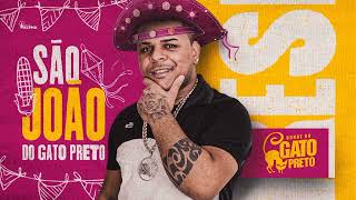 BONDE DO GATO PRETO TIPO TAZ MANIA 💥2022 #ozielldocavaco #bondedogatopreto