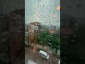 The dust is settled, the trees are vibing, and Bangalore is finally Bangalore-ing again