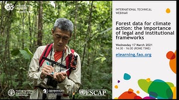Forest data for climate action: the importance of legal and institutional frameworks