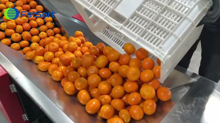 Citrus grading machine factories​ orange sorter machine​ lemon fruit processing equipment​